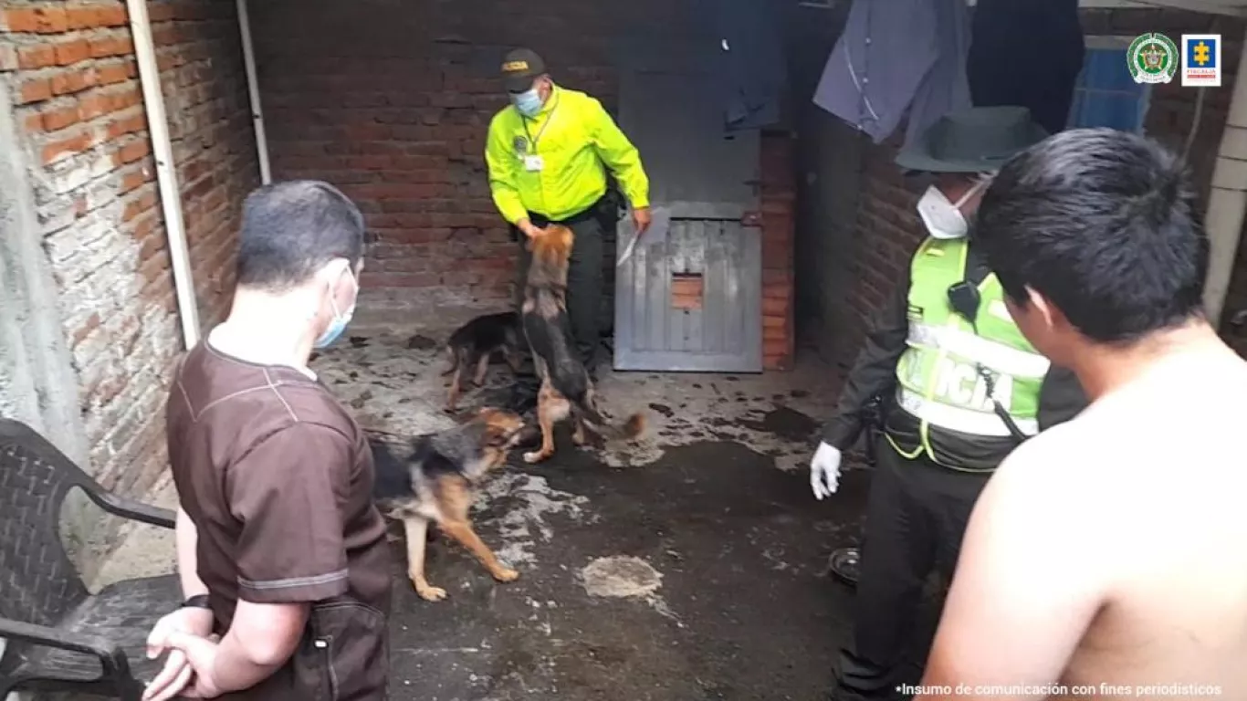 Sujeto que atacó a un canino