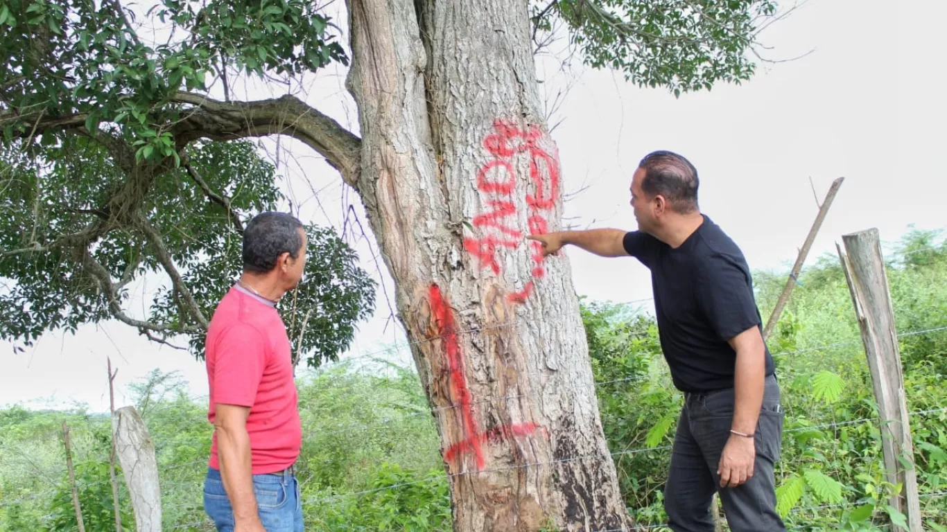 Alcalde del municipio de Plato denuncia posibles invasiones de terrenos