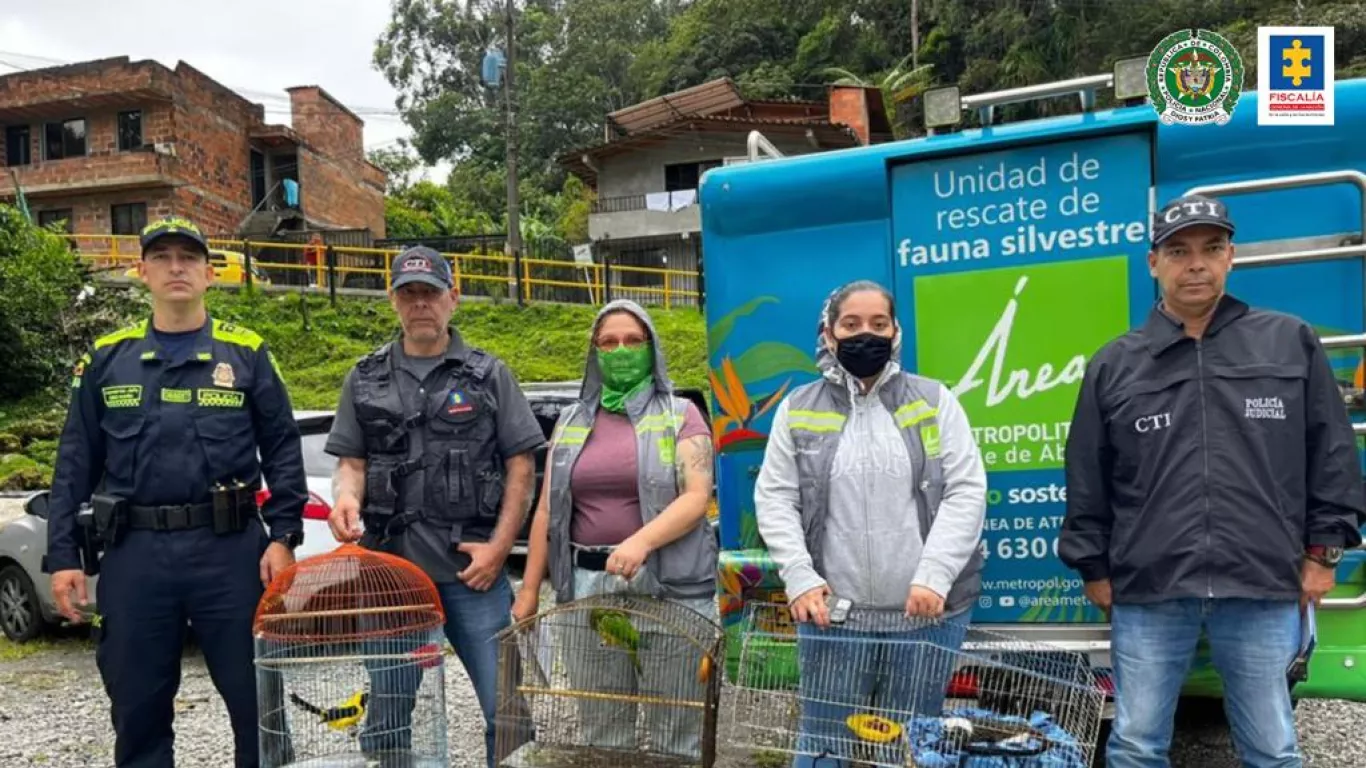 Judicializan tres personas que tenían animales silvestres en cautiverio