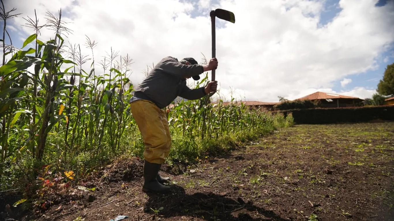 Campesino tierra