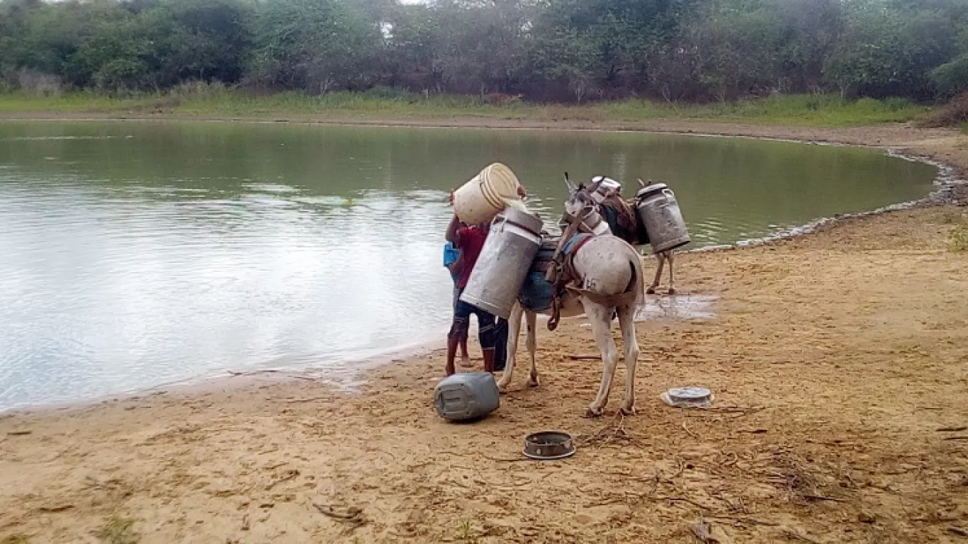 La Guajira sed