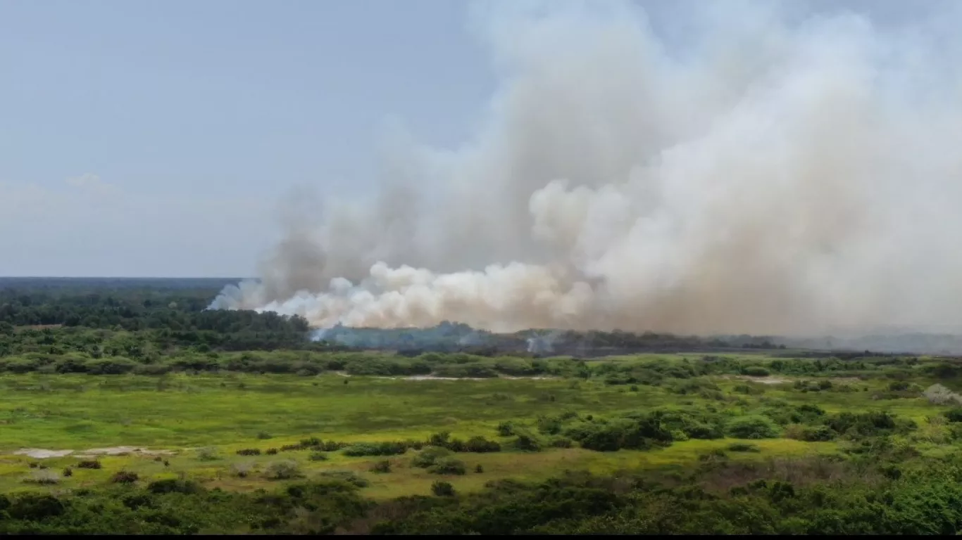 Incendio en la Isla de Salamanca