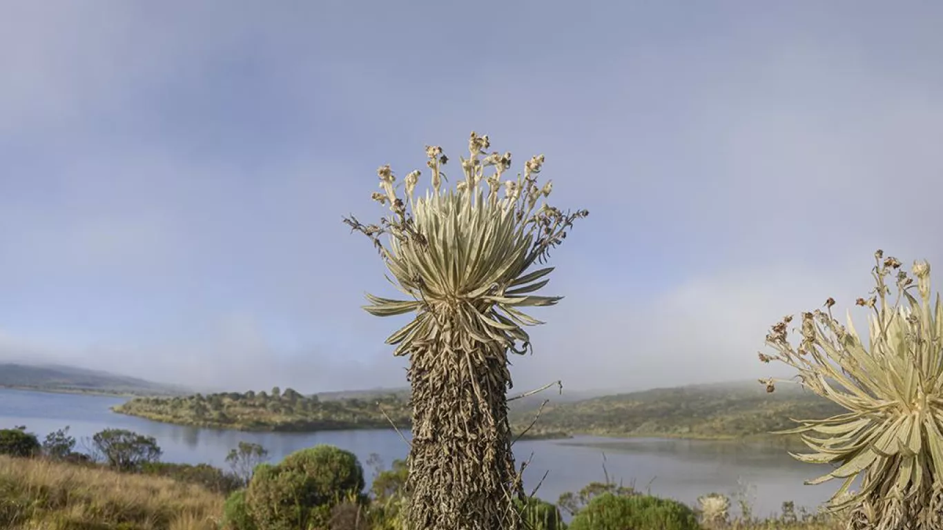 Parque-Natural-Cortadera