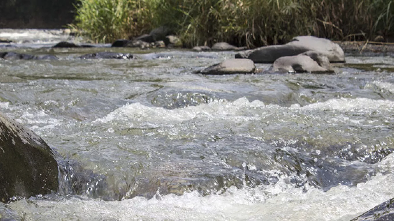 Río Cali mayo