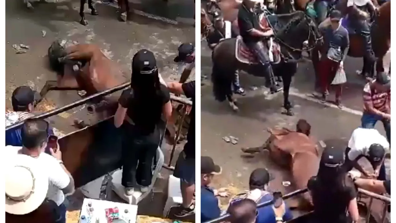 INFARTO DE CABALLO 2 DE JULIO