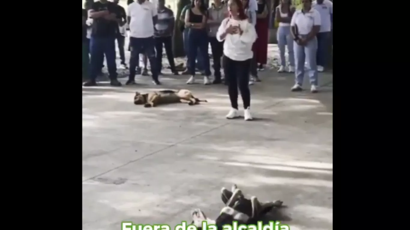 Perrito La Pintada