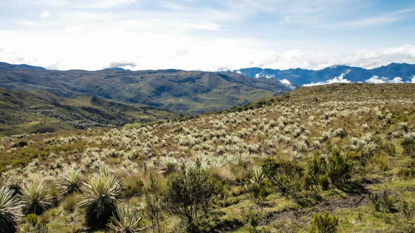 sumapaz 19 sept