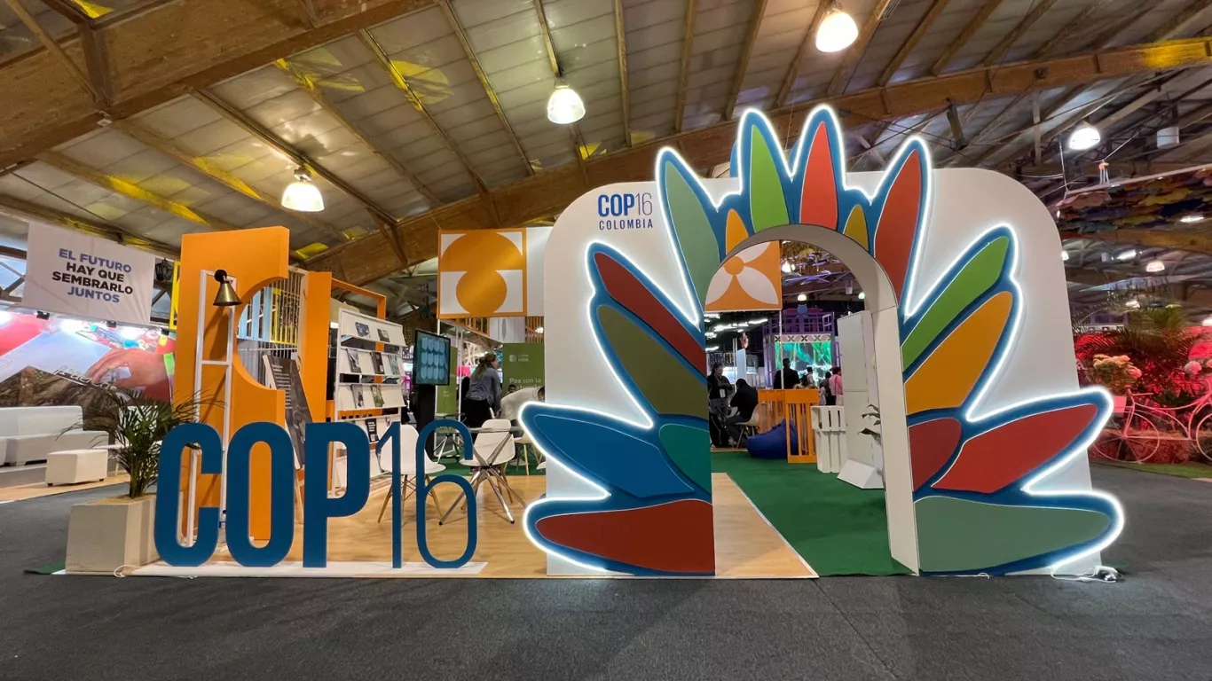 COP16 stand