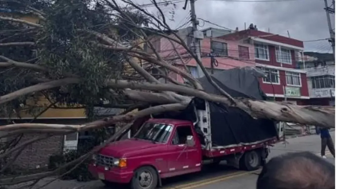 accidente arbol Bogotá