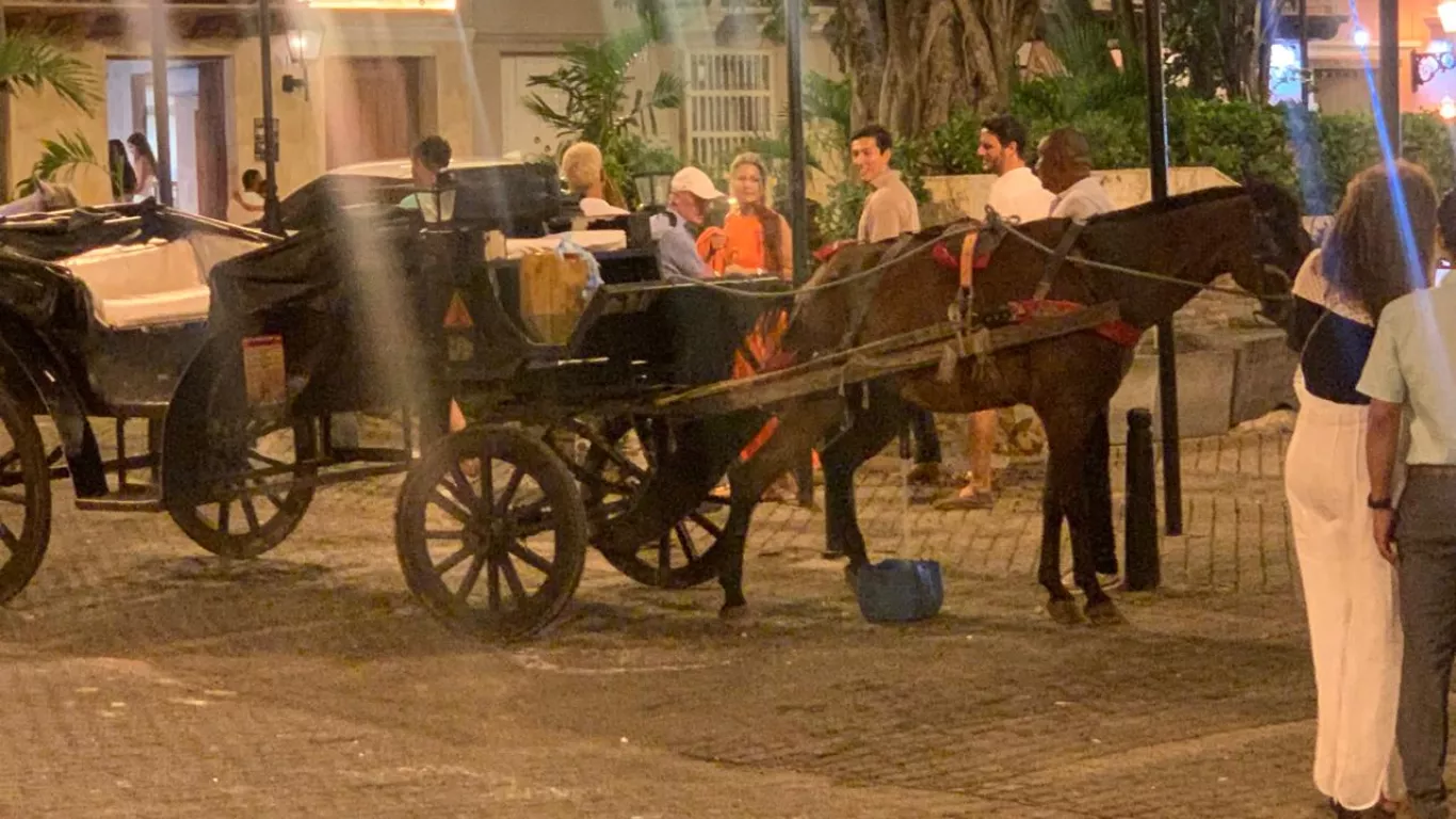 caballos de cocheros en Cartagena