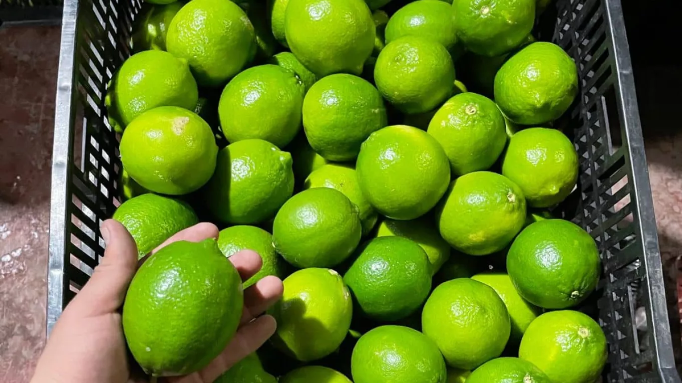 Limón Tahití