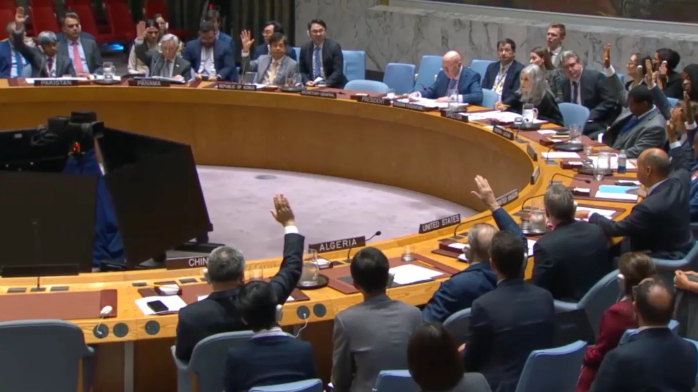 Consejo de Seguridad de la ONU 25