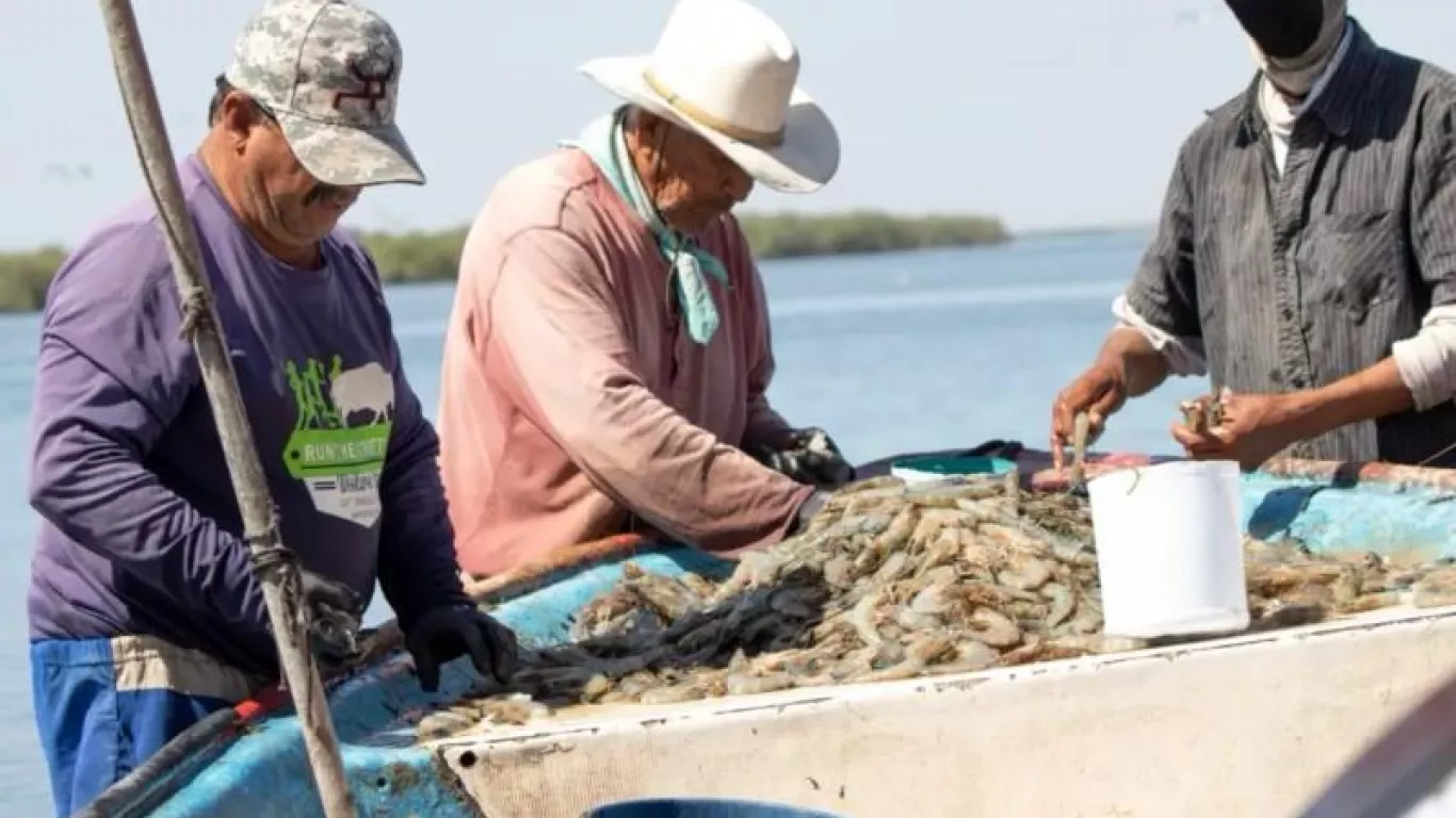 Pescadores del Pacífico colombiano reciben información de la AUNAP regional Cali sobre la veda anual de camarón y la importancia de proteger los recursos pesqueros.