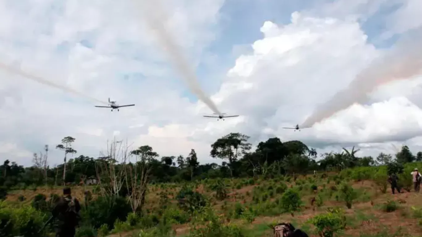 fumigación con glifosato 2025