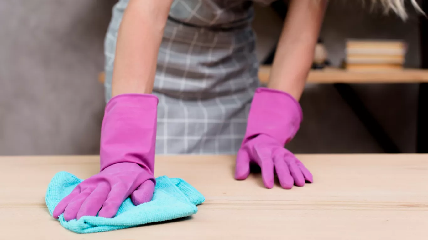 Servicio doméstico referencia