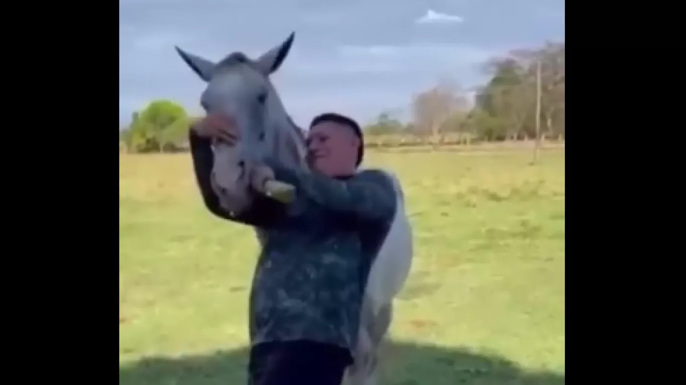 Nuevo caso de maltrato animal en Aguazul, Casanare